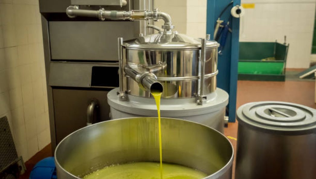 Olive oil making mill machinery
