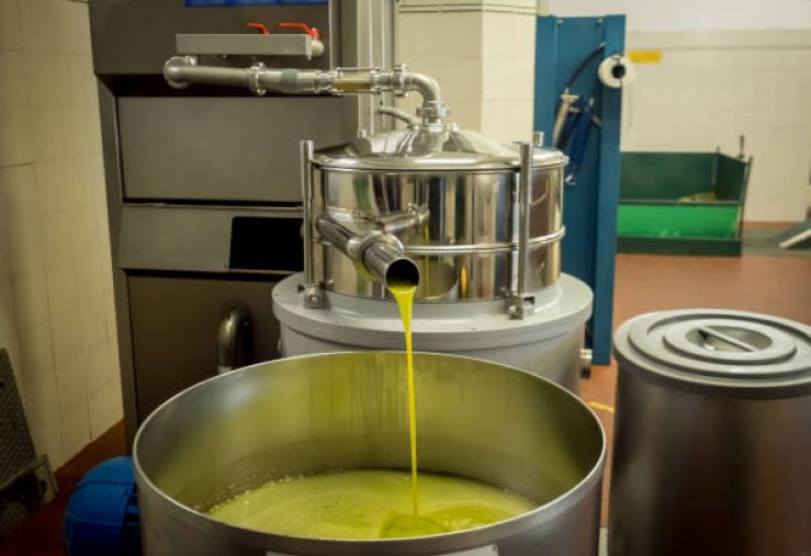 Olive oil making mill machinery
