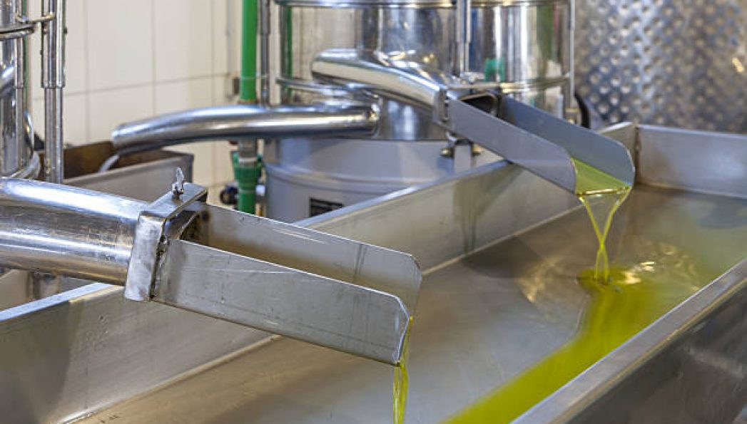 Fresh virgin olive oil pouring into tank